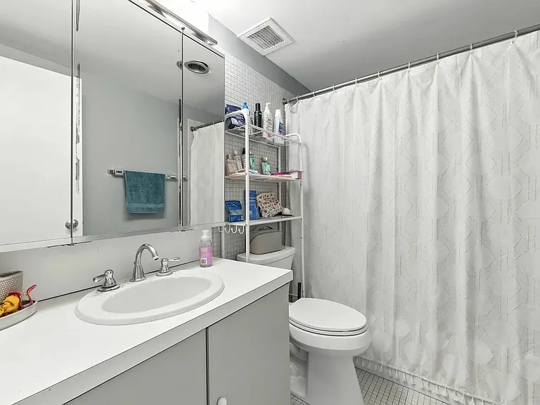 175 E Delaware Pl #5501 — Photo 10