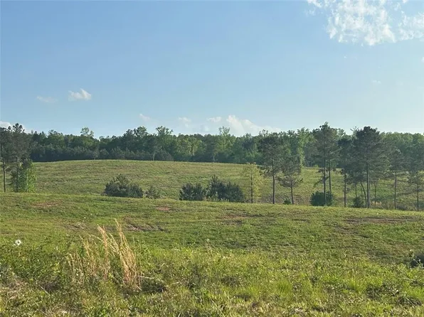 0 Needmore Rd #345.37, Roopville, GA 30170