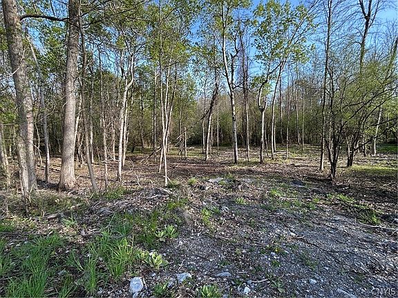 2nd image of 0 Ridge Rd #53
