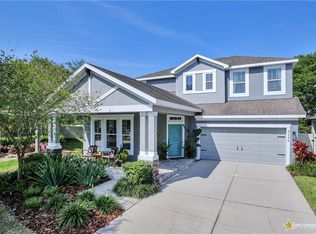 8248 Nectar Ridge Ct, Odessa, FL 33556