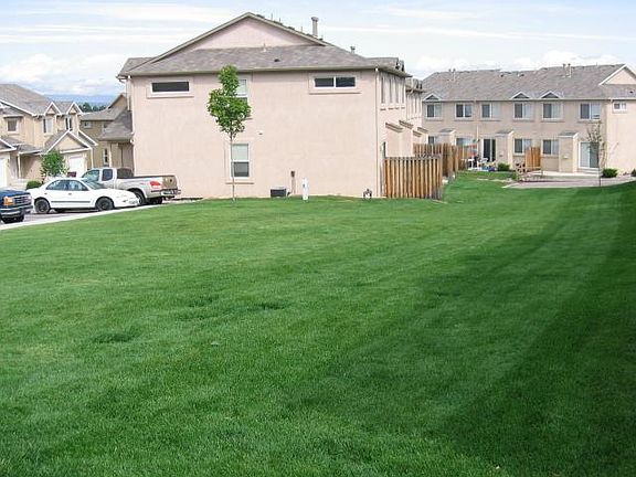 Huge backyard lawn.
