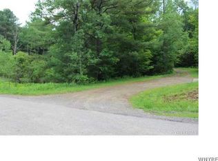 0 Coon Hollow Rd, Portville, NY 14770