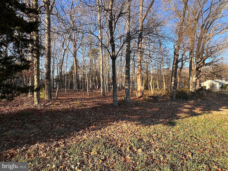 2nd image of LOT 1 N Piney Neck Rd