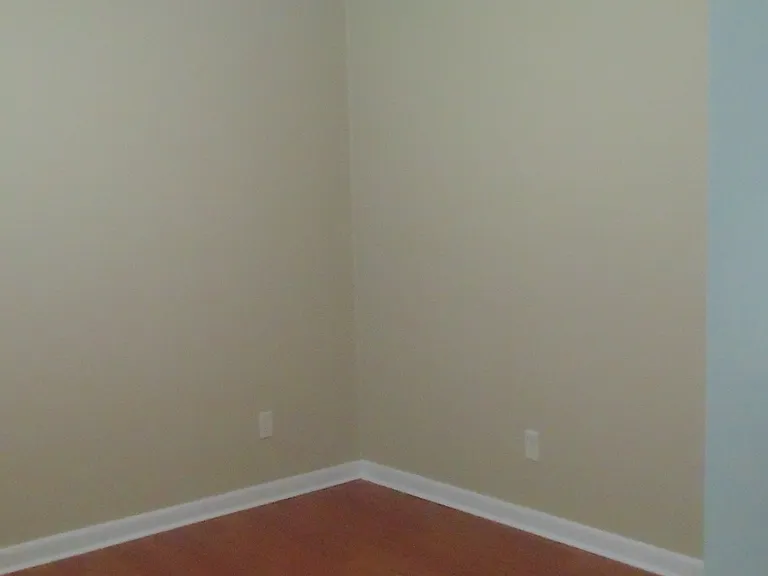 381 County Road 775 — Photo 6