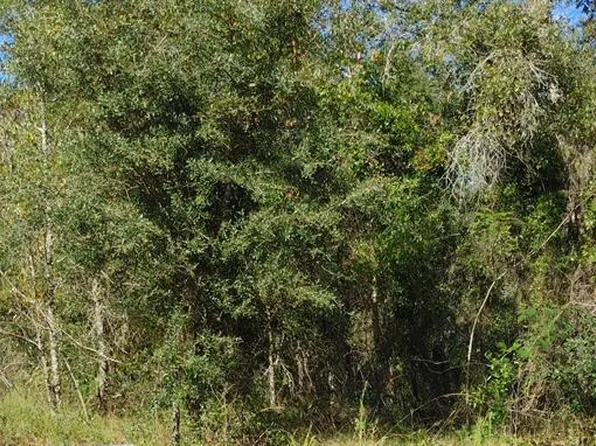 SE 25th St Lot 7, Morriston, FL 32668