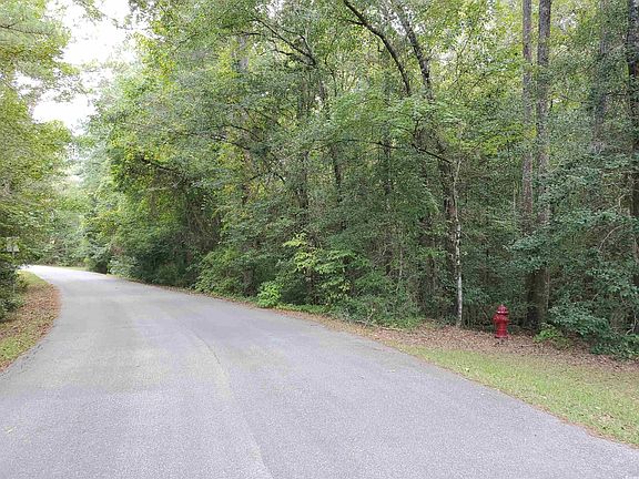 5th image of lot 16 Lendrim Lake Dr.