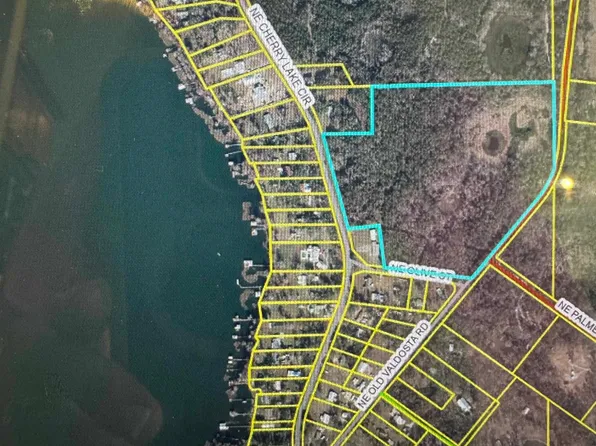 2688 NE Cherry Lake Cir, Pinetta, FL 32350