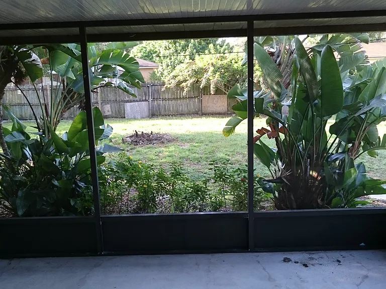 Backyard full_01062016
