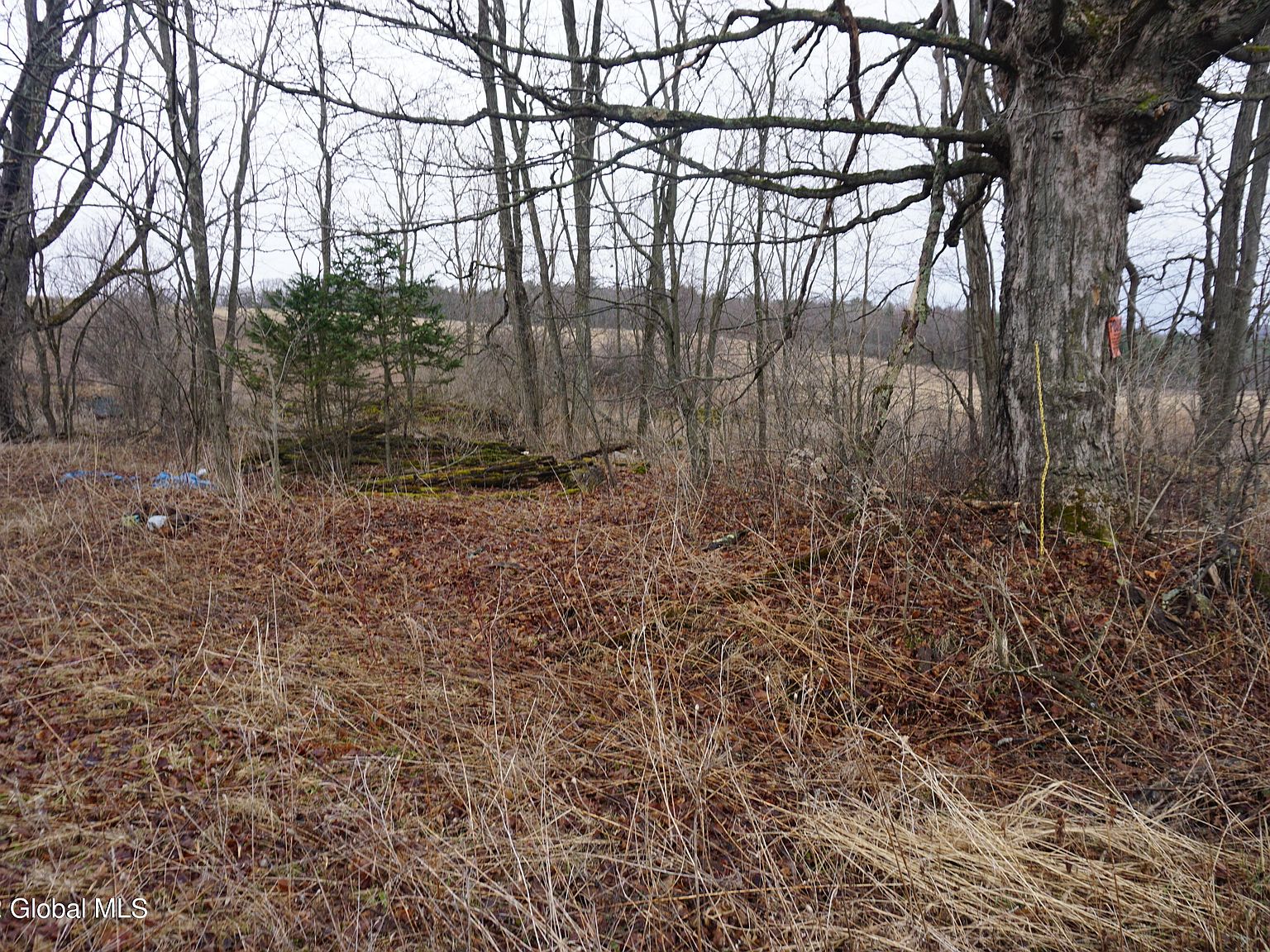0 Mooretown Road Lot 5, New Berlin, NY 13411 Zillow