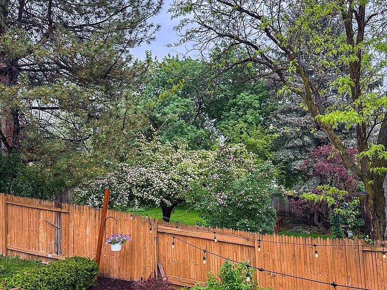 1041 Lamplighter Dr — Photo 46