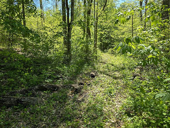 5th image of TRACT Angel Ridge Rd #C