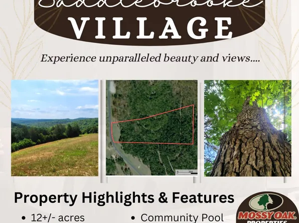 408 Sunset Dr, Chestnutridge, MO 65630
