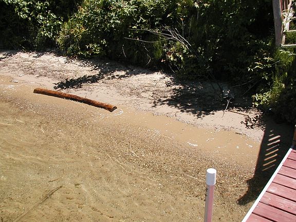 Beautiful Sandy Bottom