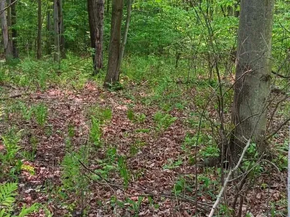 Carter Rd, Rhodes, MI 48652