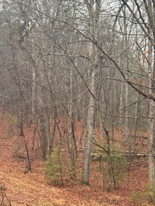 18 Bacham Ct, Crossville, TN, 38558