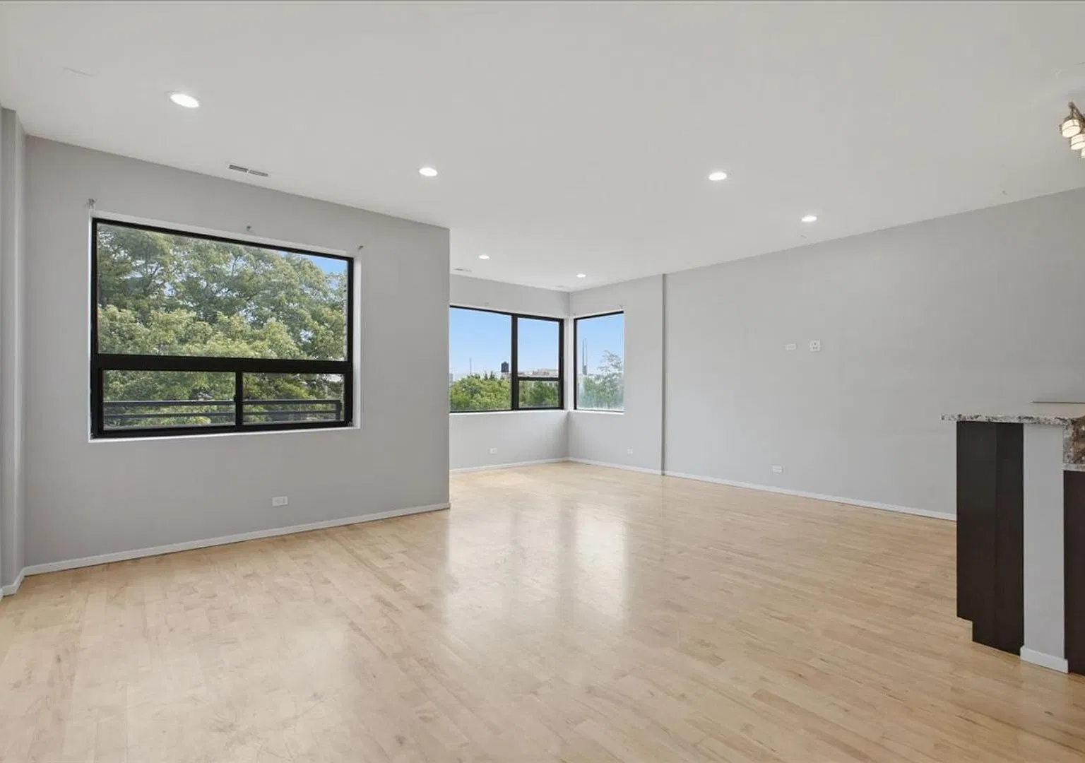 953 - 1649 W. Cortland, LLC — Photo 4