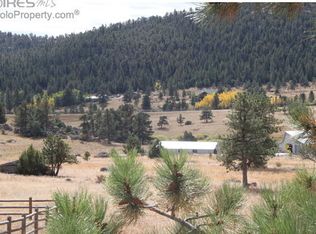1305 Green Mountain Dr, Livermore, CO 80536