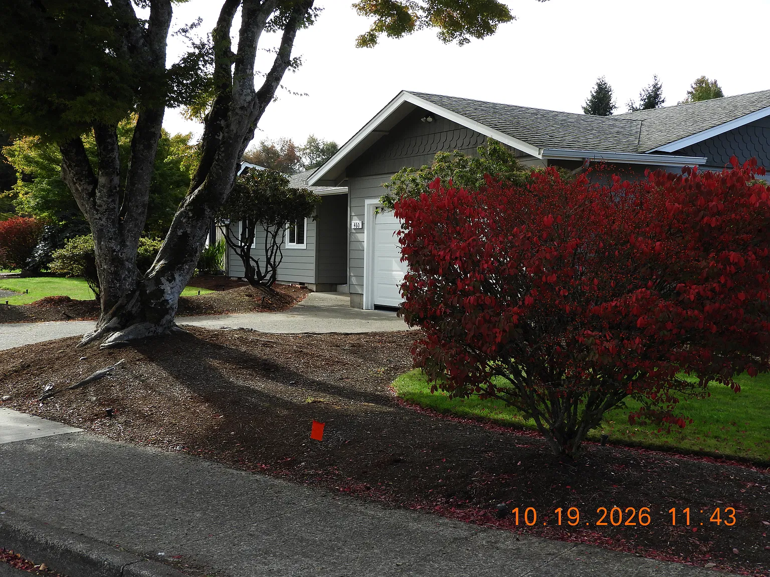 460 Lindley Ln — Photo 2