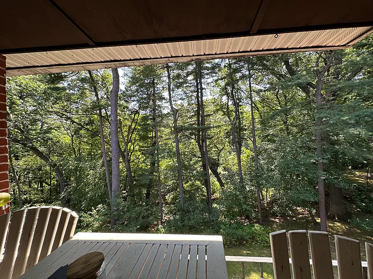 Beautiful view from deck