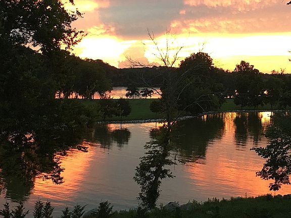 View from the back porch