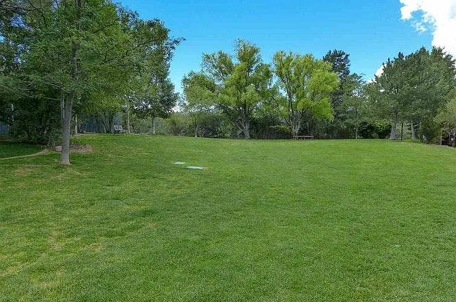 460 Oppenheimer Dr — Photo 6