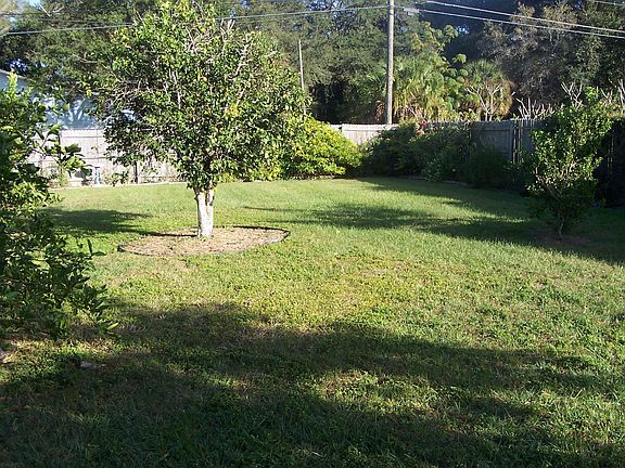 BACK YARD