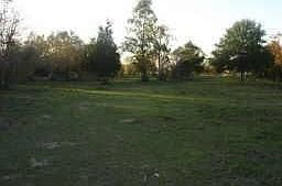 2nd image of 17809 Becker Rd