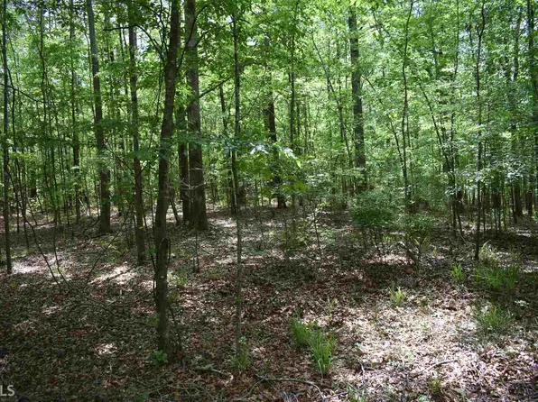 723 Little Creek Trl, Gray, GA 31032