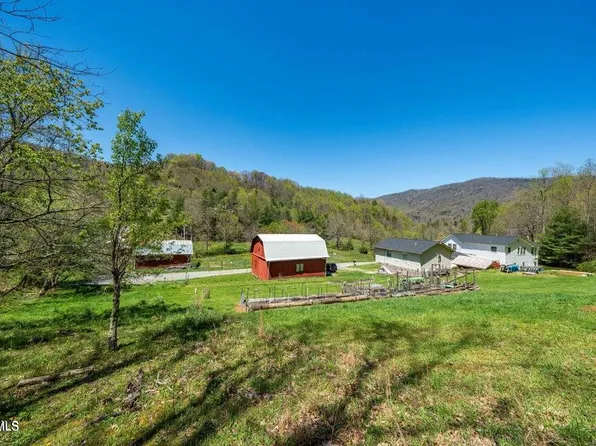 Tbd Hogum Hollow Rd, Roan Mountain, TN 37687