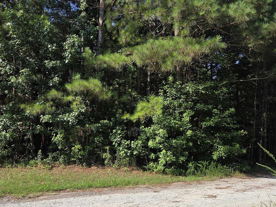 2nd image of 135 Longleaf Ct #4