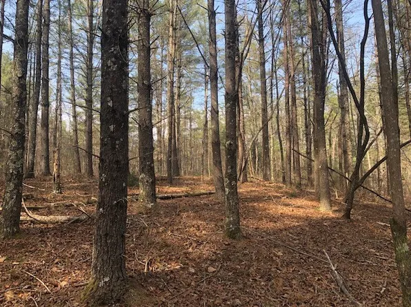 101 Dutchmans Pipe Trl, Sunset, SC 29685