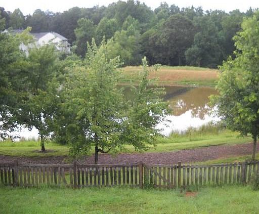 Beautiful stocked pond