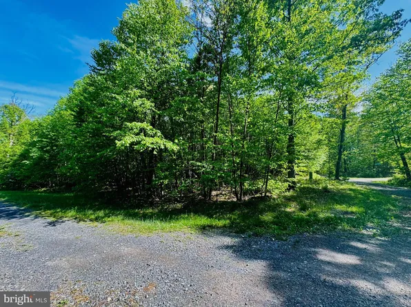 LOT 46 Paradise Rd, James Creek, PA 16657