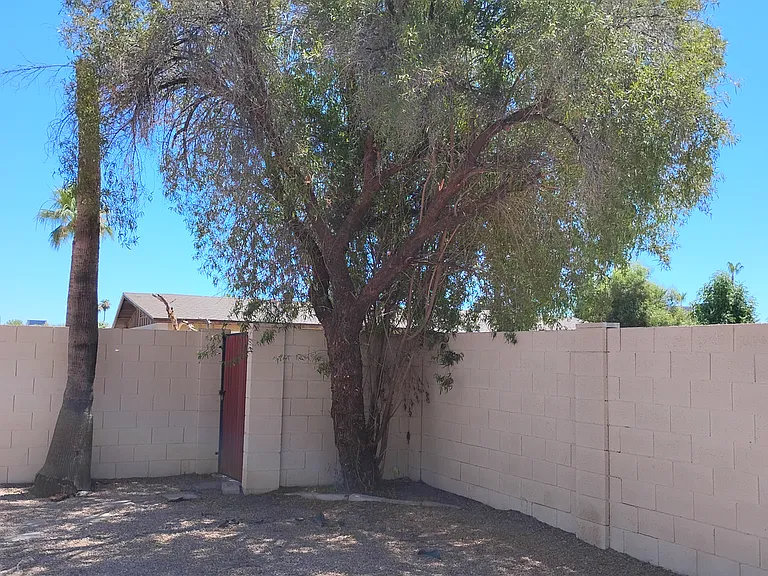 back yard gate towards alley
