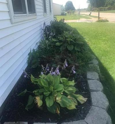 3rd image of 1298 Oak Park Dr