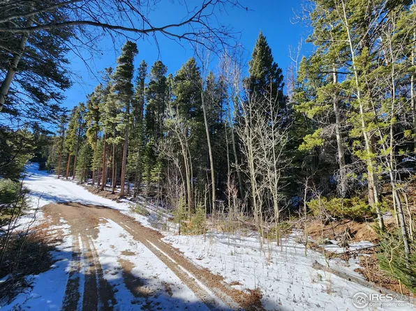 407 Shawnee Ct, Bellvue, CO 80512