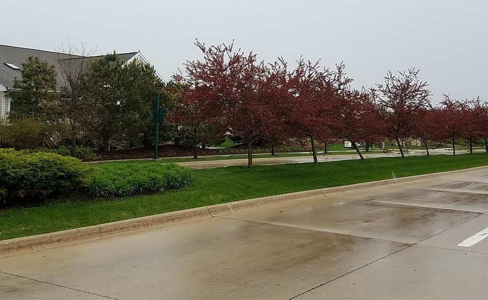2nd image of LOT 34 Wild Flower Ln