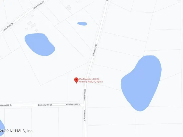 136 BLUEBERRY HILL Street, Pomona Park, FL 32181