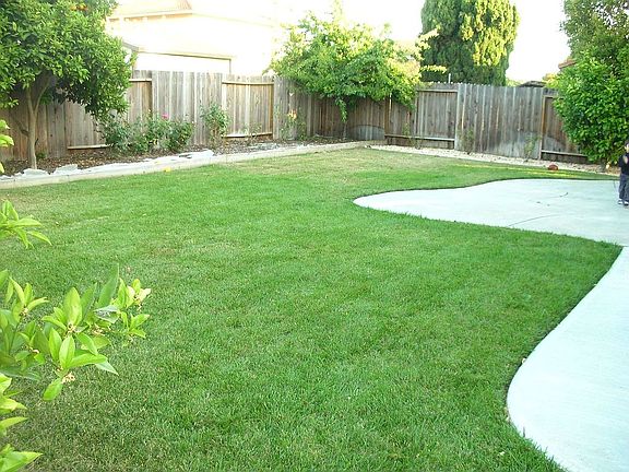 Back yard 1