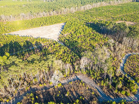 3rd image of 733 Chester Cochran Hwy