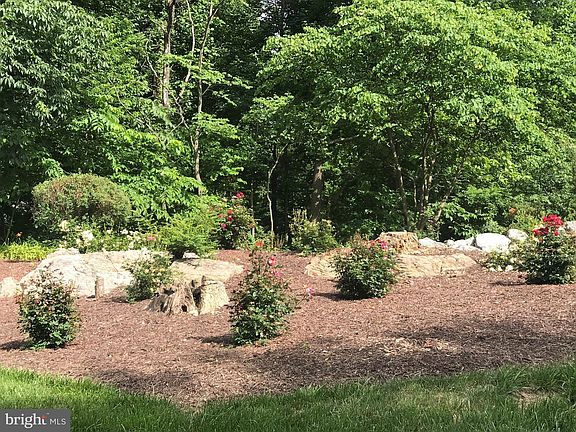 3rd image of 119 Old Forest Cir