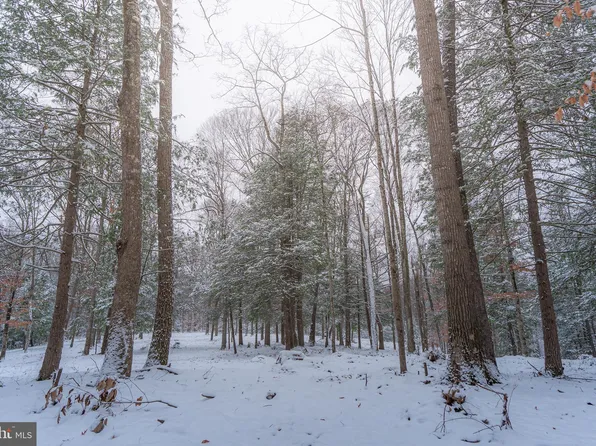 119 McClung Dr, Mount Nebo, WV 26679