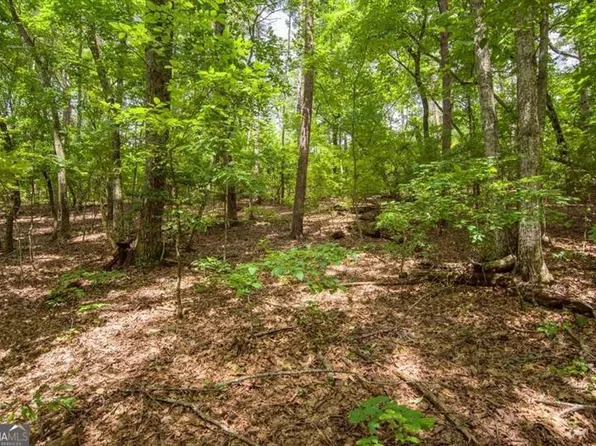 285 Bear Creek Dr, Jasper, GA 30143