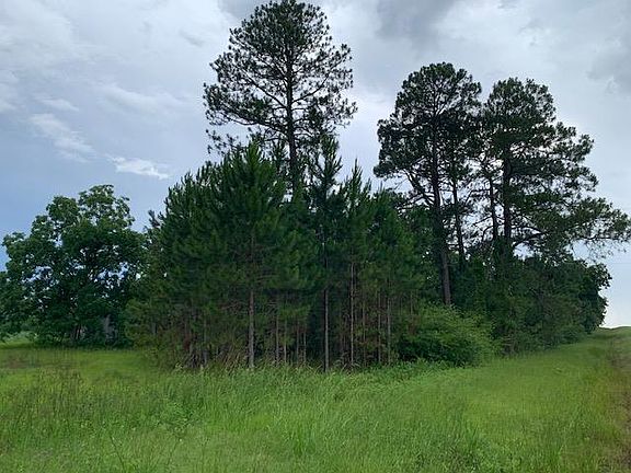 5th image of 7661 State Highway 90 W