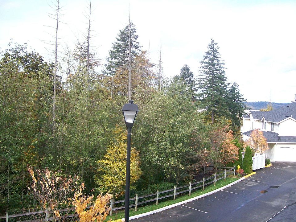 View from Living room
