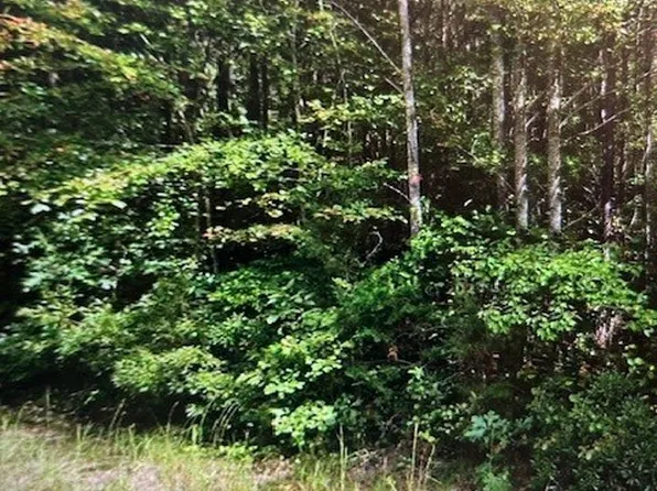 0 Dabney Rd, Little Plymouth, VA 23091