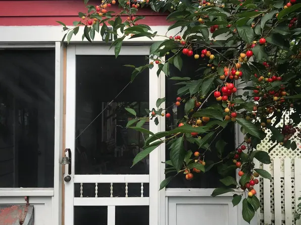 11 N Higgins St, Easton, MD 21601