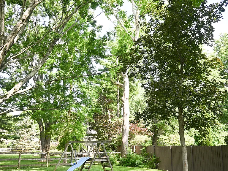 8152 Traverse Ct — Photo 53