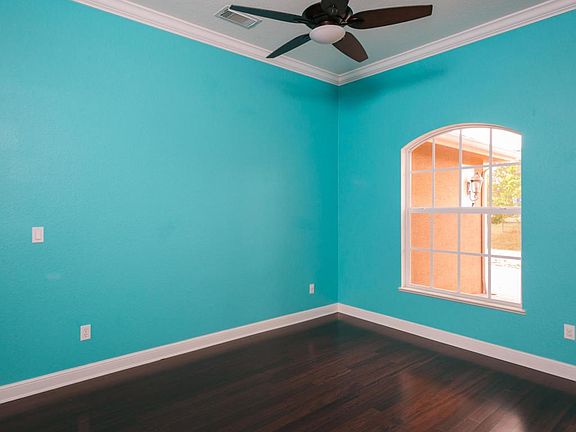 1007Aurelia-5