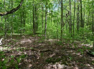 Dozy Rd, Pleasant Mount, PA 18453